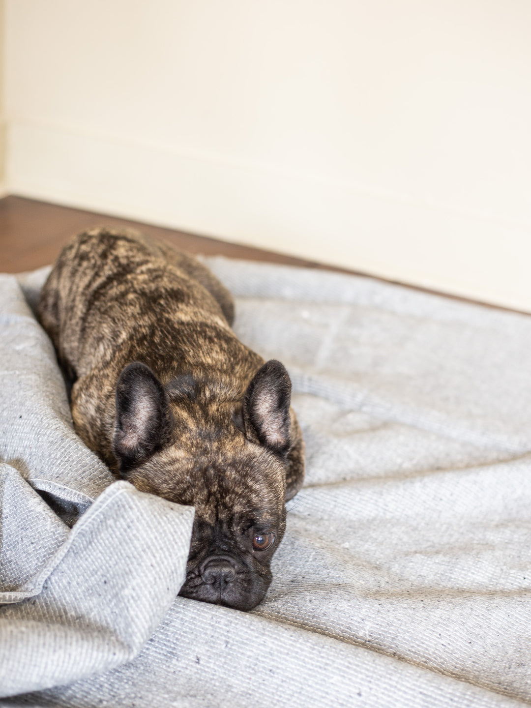 Floor protector